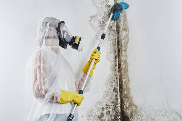 Best Mold Prevention Services  in Newark, DE